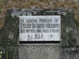 image of grave number 917329